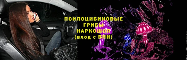 гидра Касимов