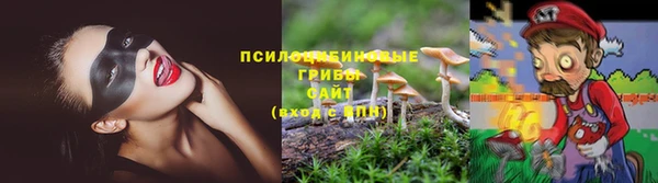гидра Касимов