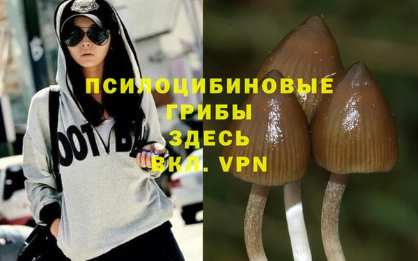 дживик Кинешма