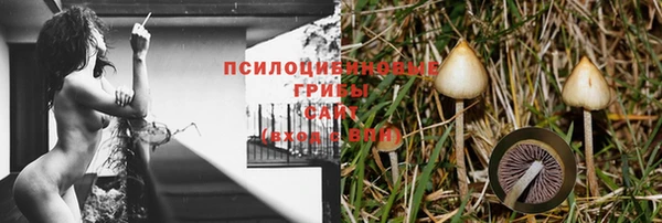 дживик Кинешма