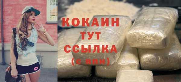 дживик Кинешма