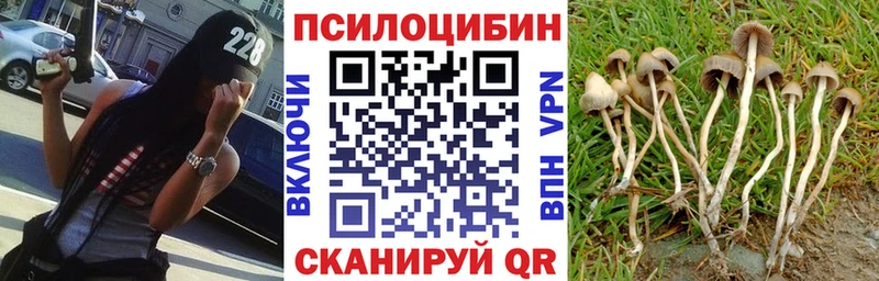 Псилоцибиновые грибы Psilocybine cubensis  Купить где  Петропавловск-Камчатский 